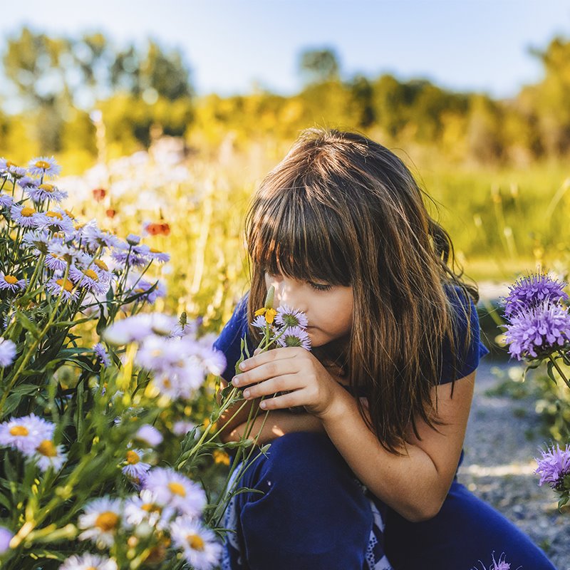 ¿Qué hace tan irresistible el ambiente Montessori?